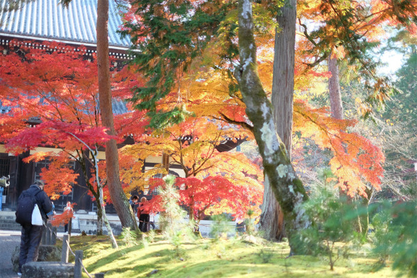 s�������� (13)