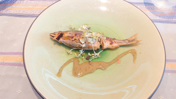 s2022-11-17 13.14.22