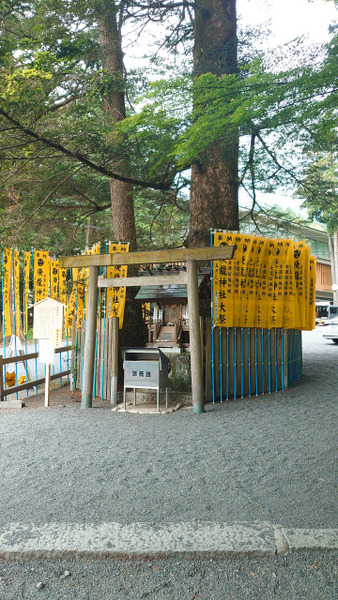 s2022-05-06���������  (3)