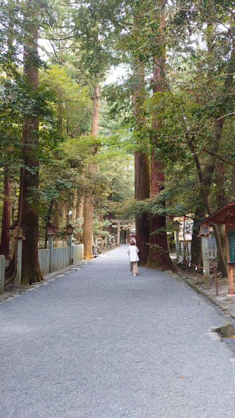 s2022-05-06���������  (8)