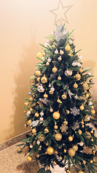 s�ե�󥹥ʥ��� (3)