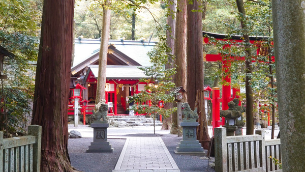 s2022-05-06���������  (9)