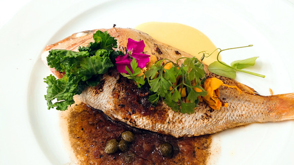 s2020-12-12 ������ (11)