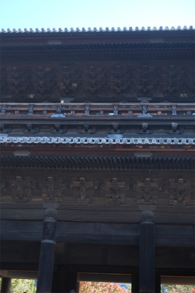 s�������� (10)