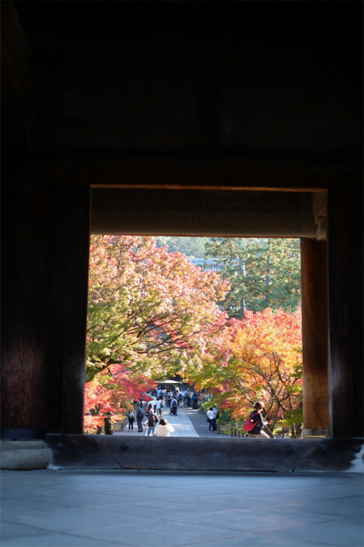 s�������� (11)