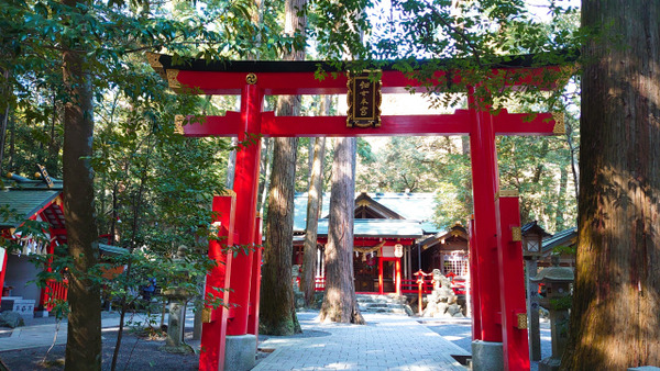 s2021-02-24 �ؿ��� (5)