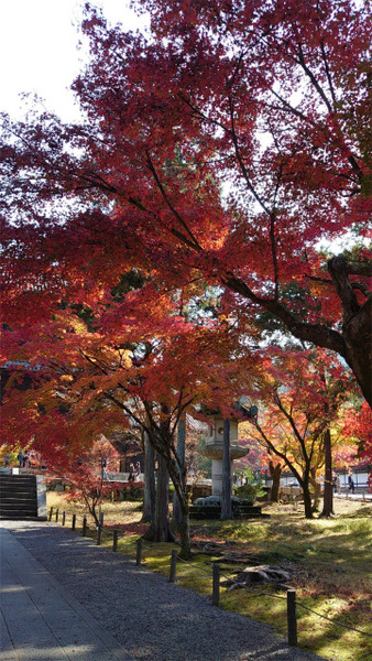 s�������� (2)