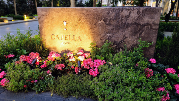 s8.Capella�ۥƥ롡���� (5)