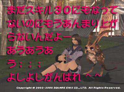 034c.jpg