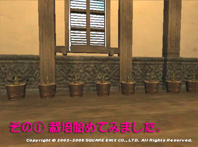 026b.jpg