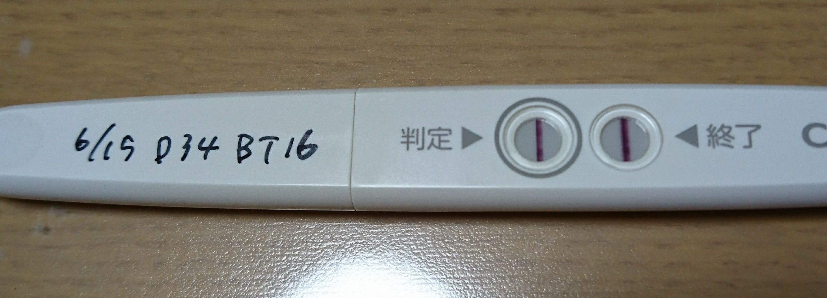D34 Bt16 5w0d 胎嚢確認日 不安は尽きない アラフォー会社員の妊活記