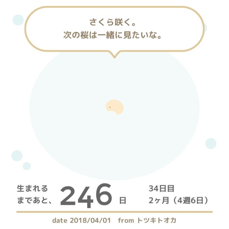 Bt1 Bt5 着床したかも Araprio S Diary