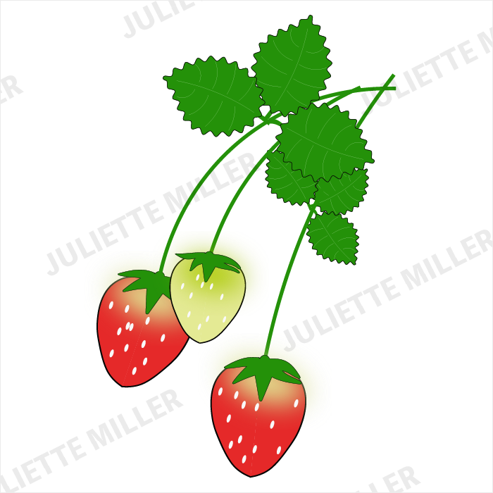 Illustrator 初心者です いちごを描きました Be Creative Be Imaginative Juliettemillerのblog