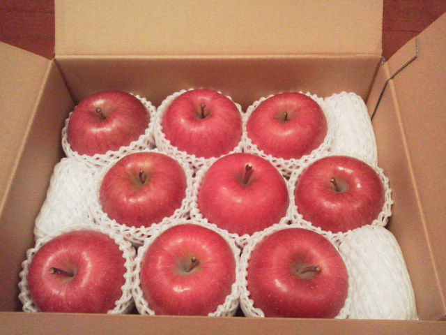 ¥¢¡¼¥¯¥¹1512102