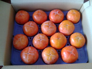 �쥷�å�1212012