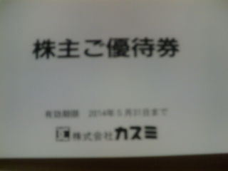 ¥«¥¹¥ß1310241