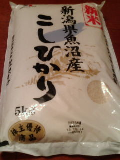 ÀÑ¿å¥Ï¥¦¥¹1310303