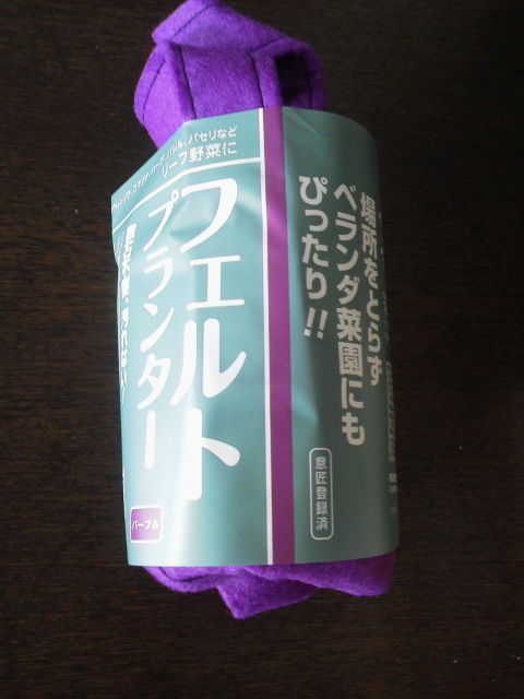 ¥¿¥«¥·¥ç¡¼1604304