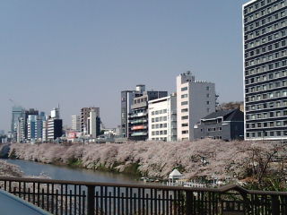 ���Ķ�1204091