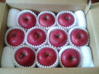 ¥¢¡¼¥¯¥¹1312071