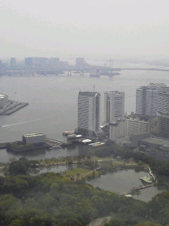 hibiki1404162