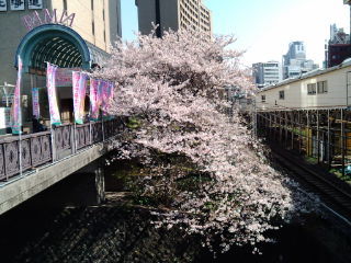 ���Ķ�1204092