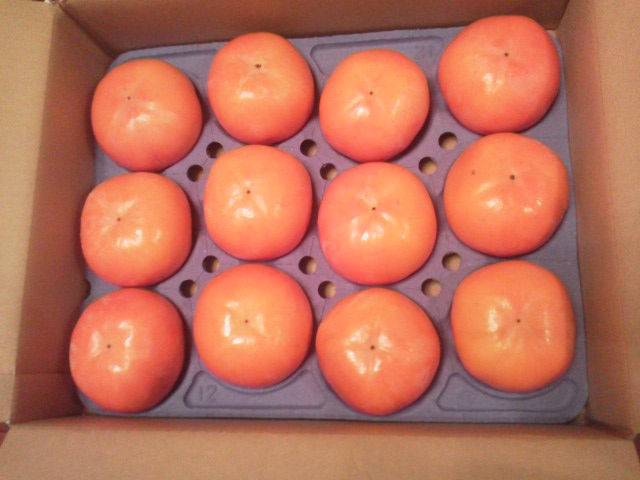 �쥷�å�1411203