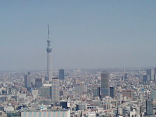 �̳�ƻ1303112
