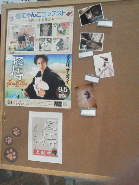 猫侍1509133