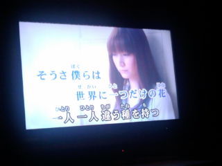 �ӥå�������1106032