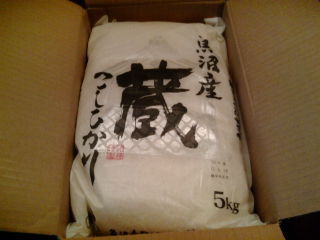 ¥ª¡¼¥·¥ã¥ó¥·¥¹¥Æ¥à1206252