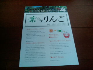 ¥¤¡¼¥µ¥Ý¡¼¥È¥ê¥ó¥¯1201133