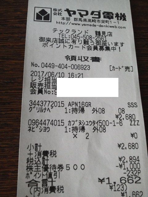 ヤマダ170611