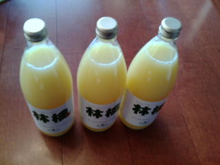 ¥¤¡¼¥µ¥Ý¡¼¥È¥ê¥ó¥¯1307062