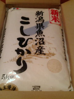 ÀÑ¿å¥Ï¥¦¥¹1310302