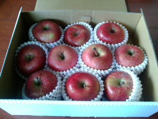 ¥¤¡¼¥µ¥Ý¡¼¥È¥ê¥ó¥¯1201132