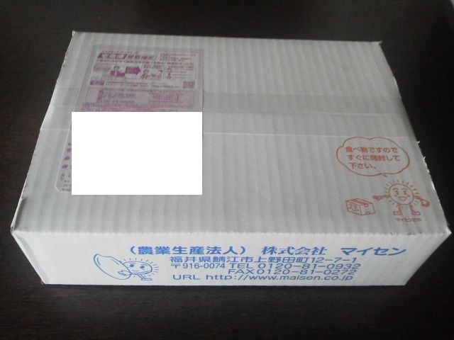 ʪ¸ì1603251