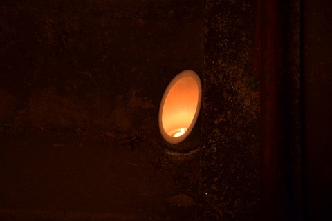 DSC_1000_compressed