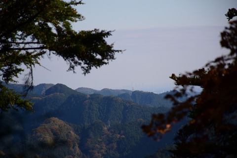 DSC_0901_compressed