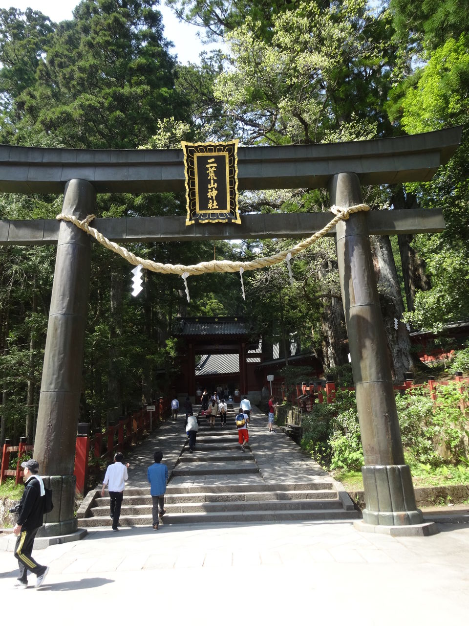 旧日光街道歩き旅 日光東照宮 じゃんぼのチラシの裏