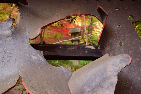 DSC_0935_compressed