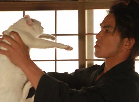 猫侍