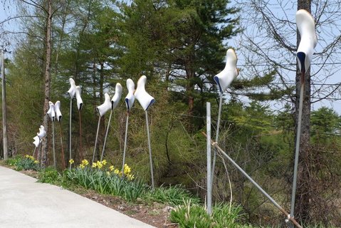 ����Ƿ���ŷ������