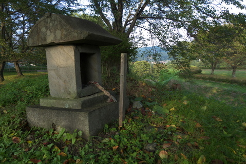 ¶å¸Í¾ëÀ×£³