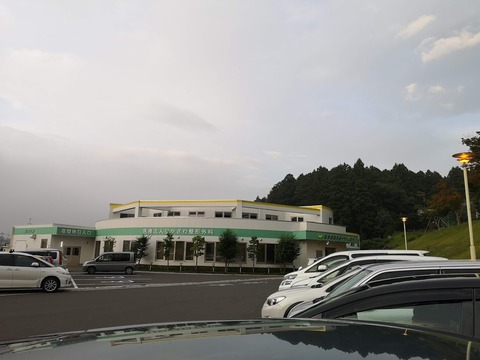 IMG_20190823_174632