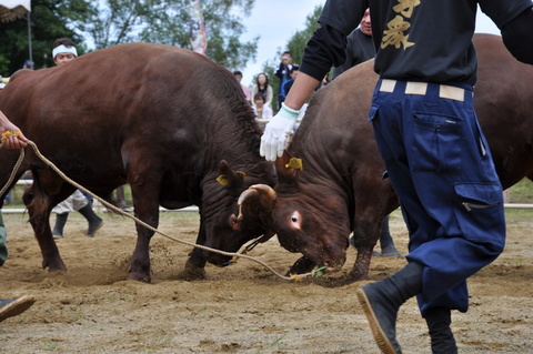 ʿ��Ʈ����