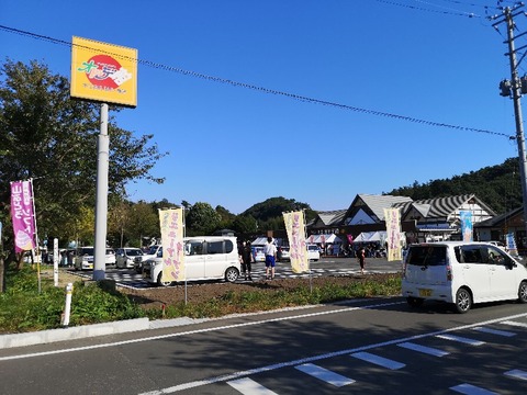 IMG_20221001_141913_copy_800x600