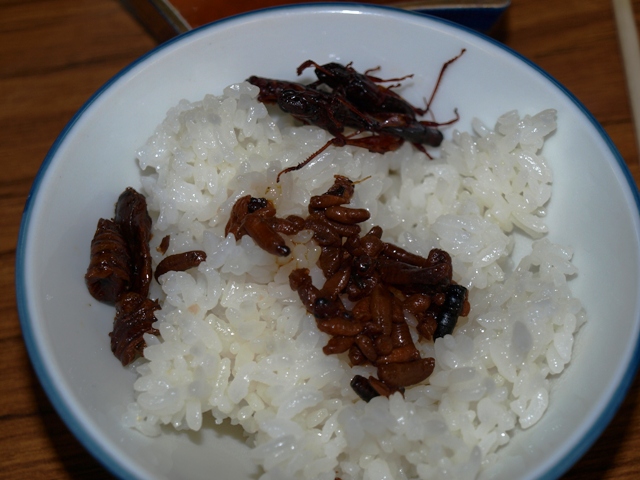 いなご さなぎ はちのこ きまじめチキン日記