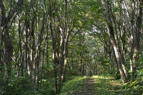 DSC_1343
