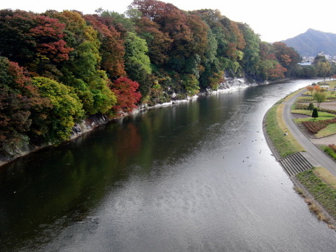 ����綶������ʥ�����¦